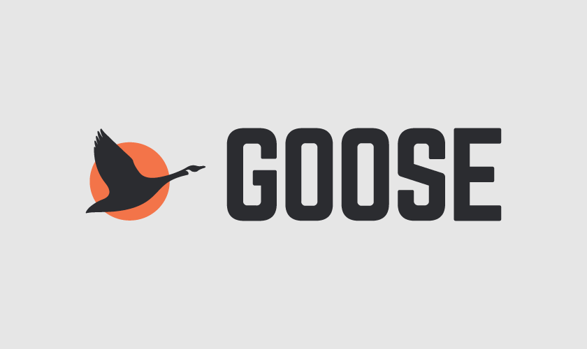 Supporting start-ups with Goose Capital